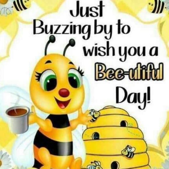 Meet your Posher, Paula justice - Picture 2 of 2